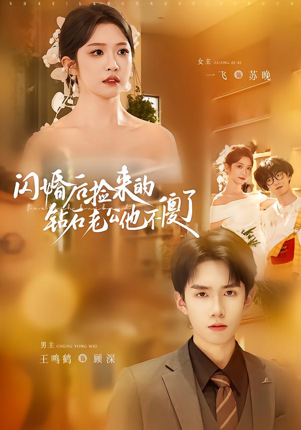 闪婚后捡来的钻石老公他不傻了