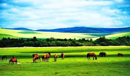 内蒙古,内蒙古,草原文明的瑰宝